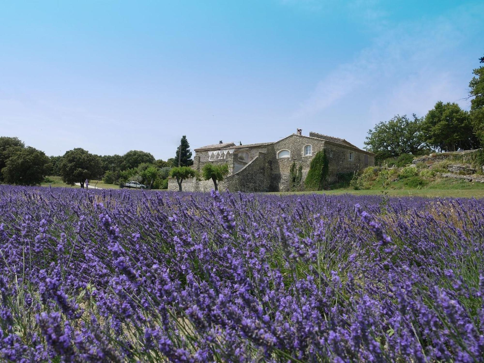 La Ferme Les Eybrachas Hotel Reauville Exterior photo